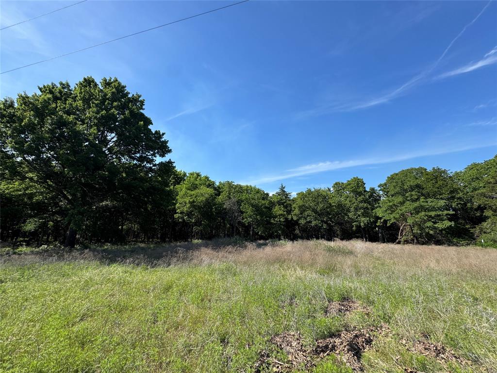 Discover a rare opportunity to own a secluded 6.4-acre ag-exempt property, featuring massive oak trees, a picturesque creek at the back of the lot, and abundant wildlife—including deer frequently seen on the property. Tucked away at the back of a gated private road, it’s perfect for anyone seeking tranquility while still being just minutes from dining, shopping, and the charm of the downtown square. Has been ag-exempt for bees.

A dedicated builder comes with the property, ready to help bring your dream home— saving you time and ensuring a smooth process from start to finish. Plus, some clearing has already been completed, giving you a head start. If you're looking for a unique property with both natural beauty and convenience, this one is hard to beat.