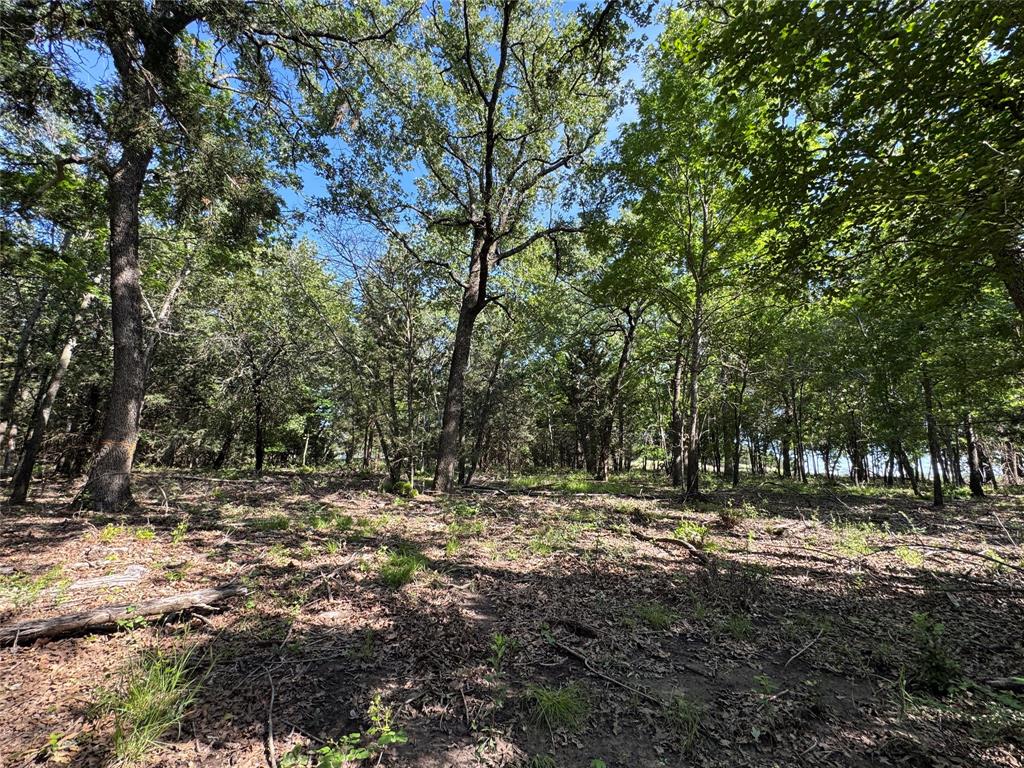 Old Decatur Estates - Land