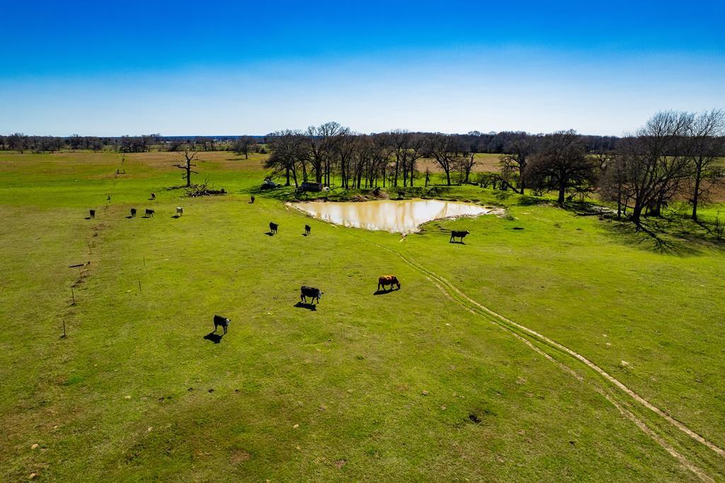 Power lines have been installed!  Come and see this incredible opportunity to be on a large 10 acre that is still close to so much!  Priced to sell!  1.5 miles to Seven Points for groceries and conveniences, but only 5 miles to access Cedar Creek Reservoir with its parks and public boat ramp.  Still less than 1 hour from Dallas for that commute!  Reasonable restrictions allow up to three doublewide homes or site built homes.  Scattered trees and a small pond are found on this peaceful parcel. WCCMUD water at the road and TVEC installed lines. Level parcel flag tract so call your agent to see this piece of Texas!  See survey for shape, location and dimensions.