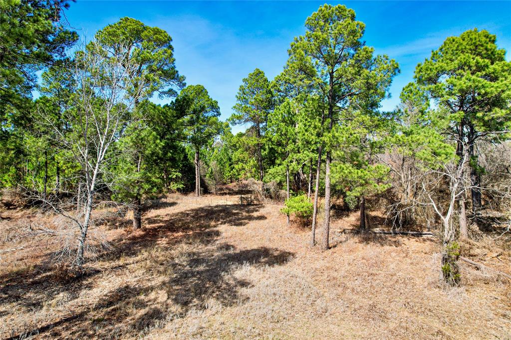 Indian Pines - Land