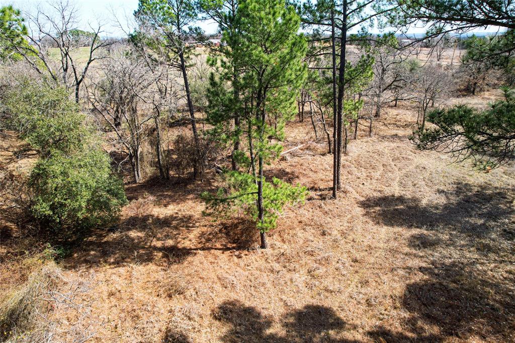 Indian Pines - Land