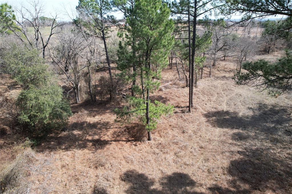 Indian Pines - Land