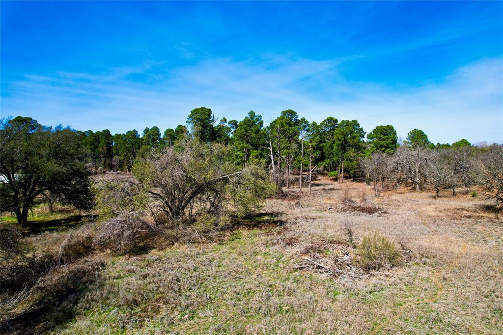 Indian Pines - Land