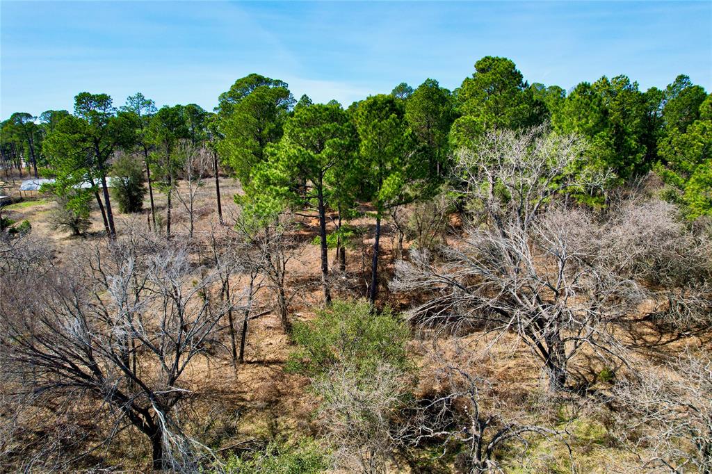 Indian Pines - Land