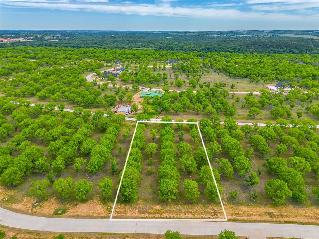 Pecan Plantation - Land