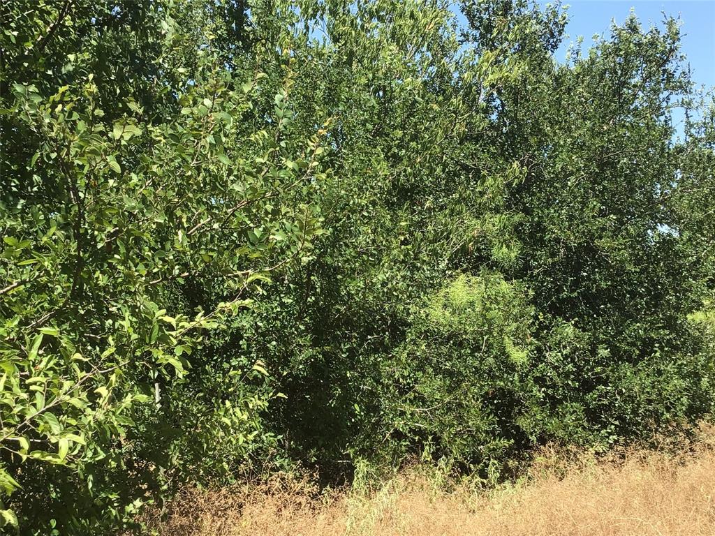 A-239 T Denson 4. Acres - Land