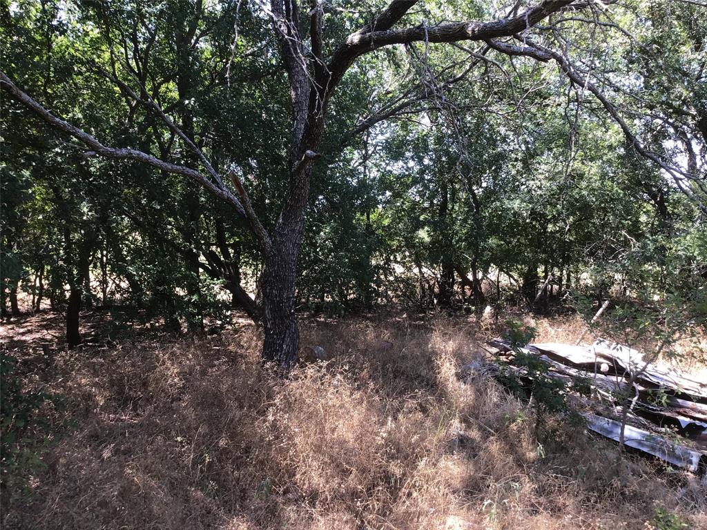 A-239 T Denson 4. Acres - Land