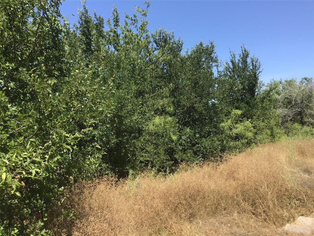 A-239 T Denson 4. Acres - Land
