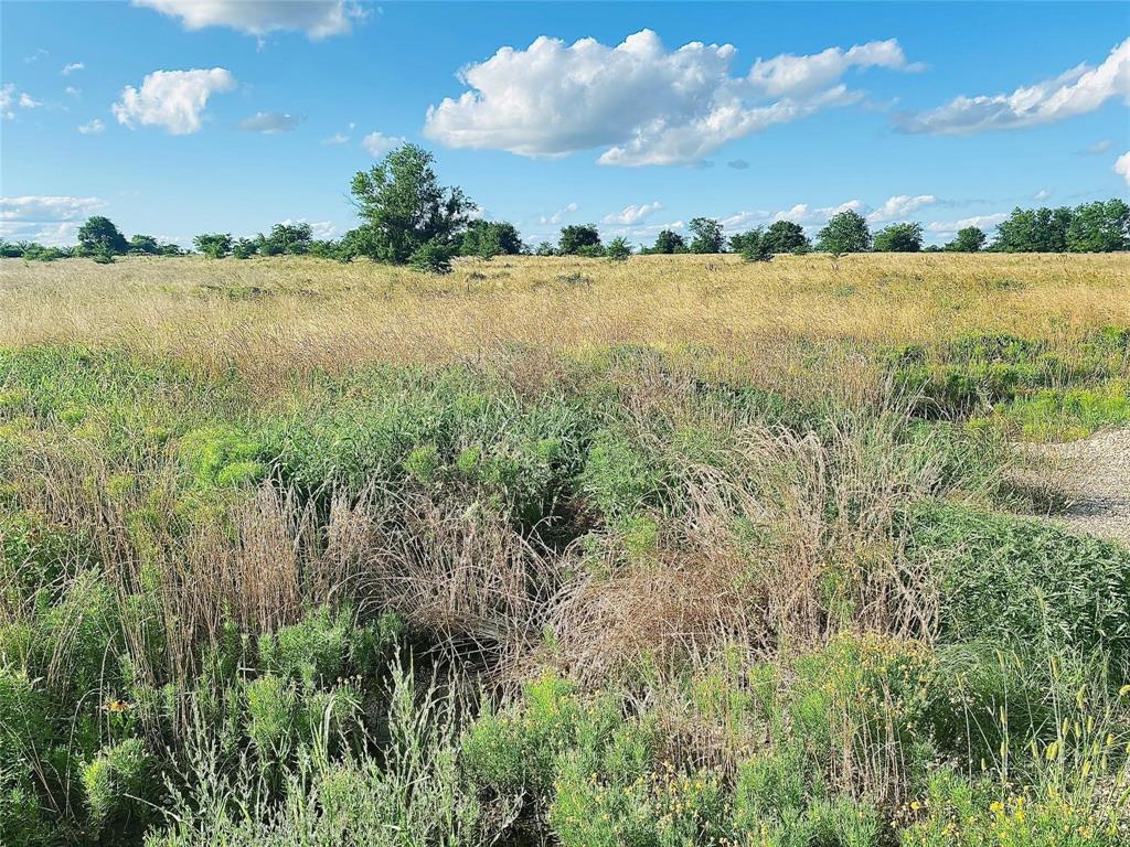 This beautiful piece of land lies perfectly between the cities of Sulphur Springs (11 miles) and Commerce (10 miles). Nestled just off the well-traveled Highway 11, it’s only a quick six-minute drive to I-30 East or West, offering both convenience and accessibility. Located within the growing Ridgeway Ranches subdivision, this nearly 11-acre tract provides ample space for whatever lifestyle you envision—whether it’s porch-sitting on quiet evenings, riding ATVs, stabling horses, or even starting a hobby farm. It truly offers the best of both worlds: the peace of the country with the ease of nearby town amenities.

What makes this property stand out above the rest is its location. Positioned at the end of the cul-de-sac, this tract enjoys the most desirable setting in the neighborhood—privacy, tranquility, and a prime vantage point with no through traffic. It’s the ideal spot to build your dream home and enjoy wide-open Texas living.