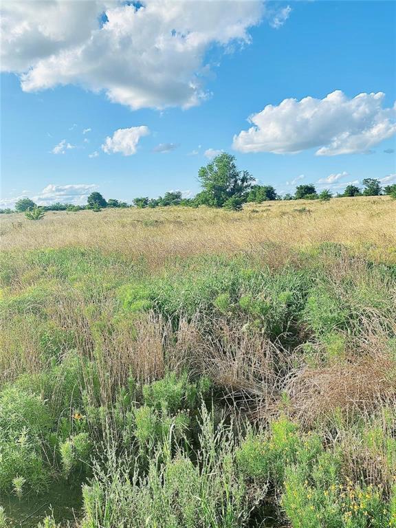 Ridgeway Ranches - Land