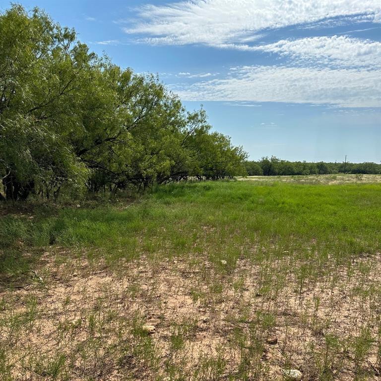 27-ac parcel, just 20 min to Abilene, offering an idyllic blend of tree cover & open spaces. This picturesque property boasts a mix of sprawling Mesquite groves & open terrain, creating a diverse & captivating landscape. With its fertile soil and ample sunlight, it serves as an ideal canvas for cultivating food plots to support local wildlife or for growing crops tailored to cater to the needs of livestock. Build your new home or weekend retreat. Water & electricity available at the road. Whether you envision creating lush pastures for grazing animals or establishing bountiful harvests to nourish both wildlife & agricultural endeavors, this 27-acre oasis provides a canvas for realizing your rural dreams. Additional acreage is available. Don't miss out on the opportunity to own this remarkable piece of land, where the possibilities are as vast as the Texas sky. Take the first step towards making your agricultural aspirations a reality & secure your slice of countryside paradise today.