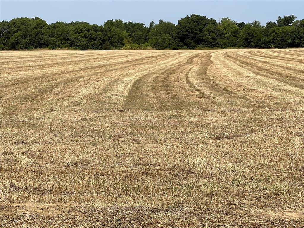 Rodgers Road Estates - Land