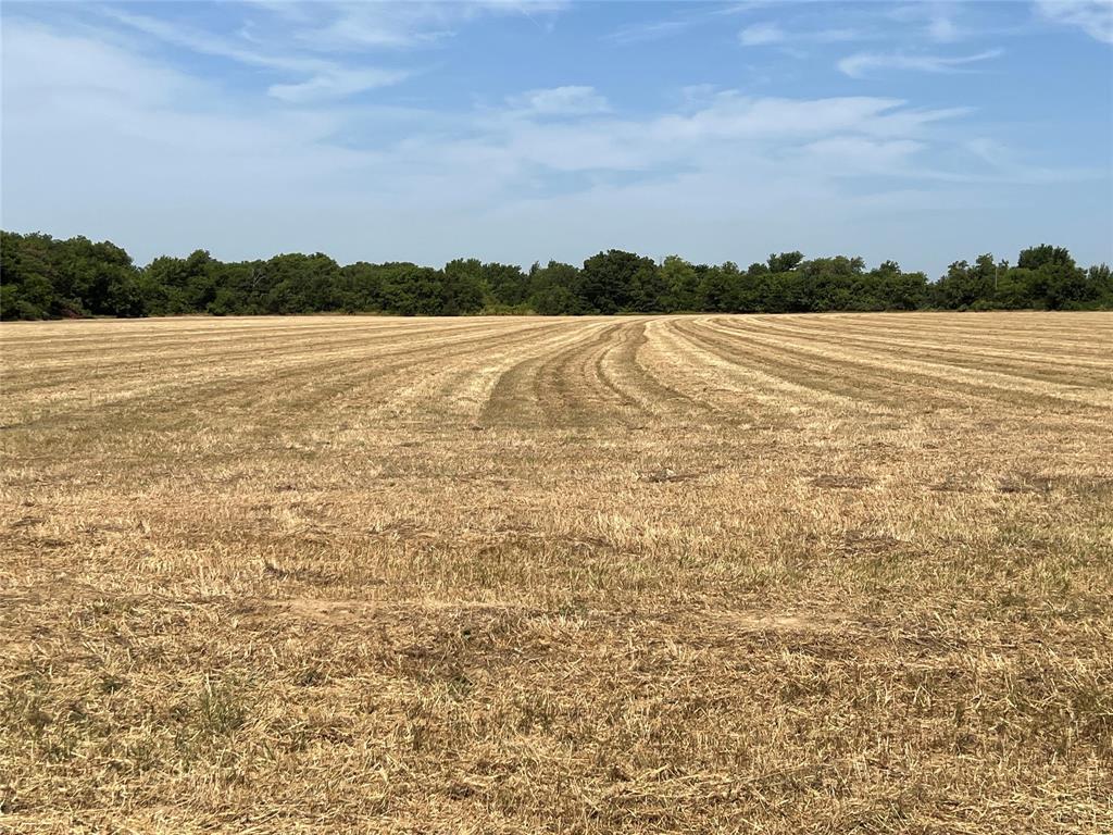 Rodgers Road Estates - Land