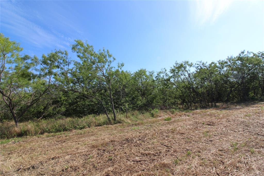 DAVID F WILLIAMS - Land