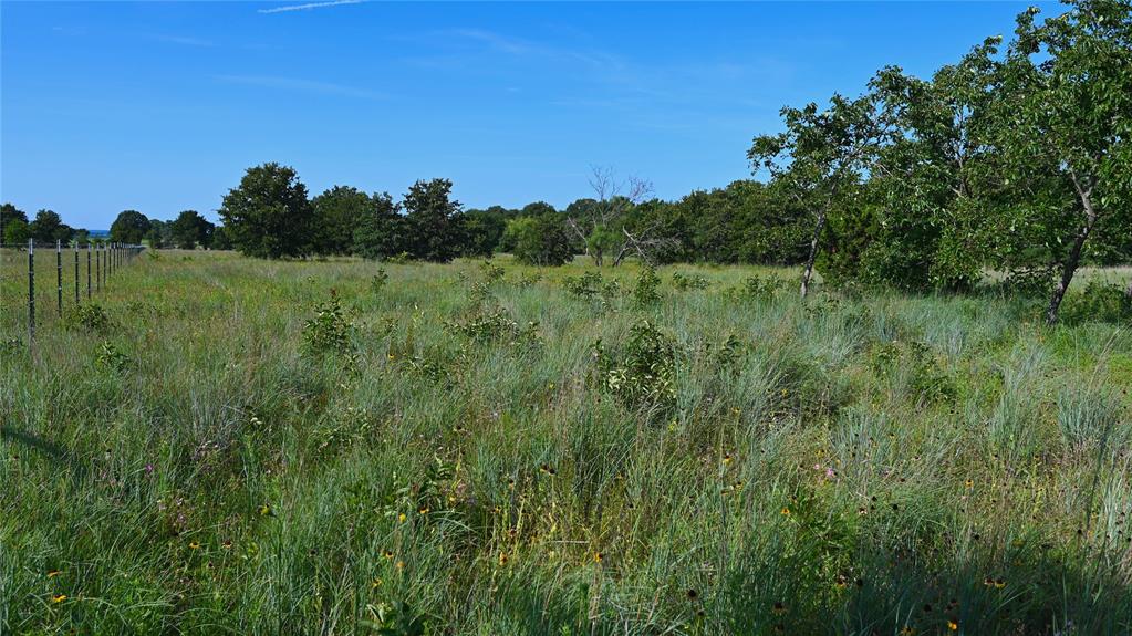 Bonita Oaks Ranch Sub - Land