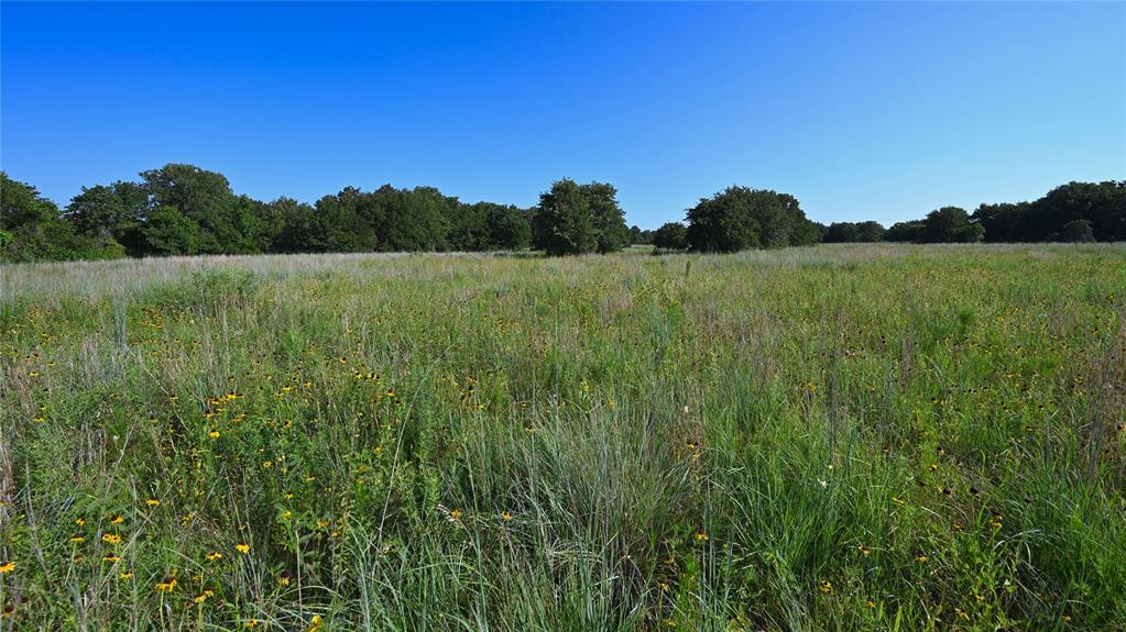 Bonita Oaks Ranch Sub - Land