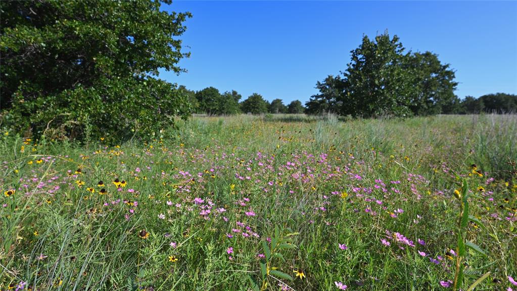 Bonita Oaks Ranch Sub - Land
