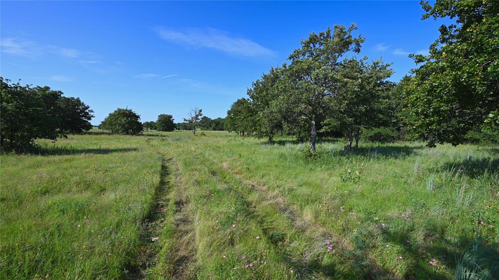 Bonita Oaks Ranch Sub - Land
