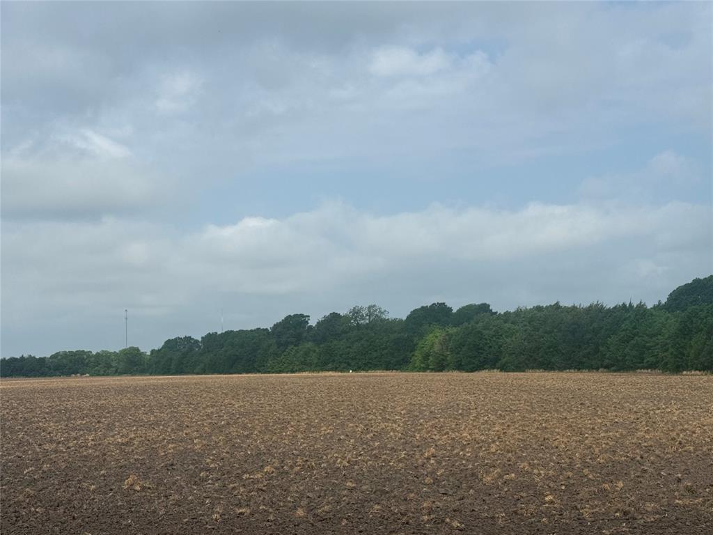 Looking for country but still close to town? Then take a look at this 19+ acres with ag use, located on a paved road with open pasture and a thicket of native timber with large oaks. Wildlife have been spotted on the property,  such as deer, turkey, squirrel &  hogs.   There is a SW Fannin water line at the road and electric lines are on the property. Adjoining 19 acres on the north side can also be purchased. Property is located in the ETJ of Bonham.
