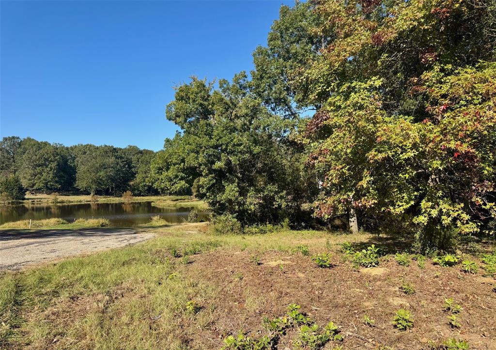 Dogwood Trails West - Land