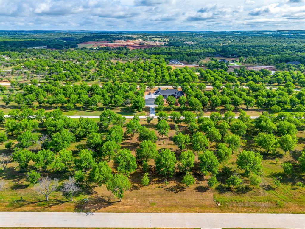 Pecan Plantation - Land