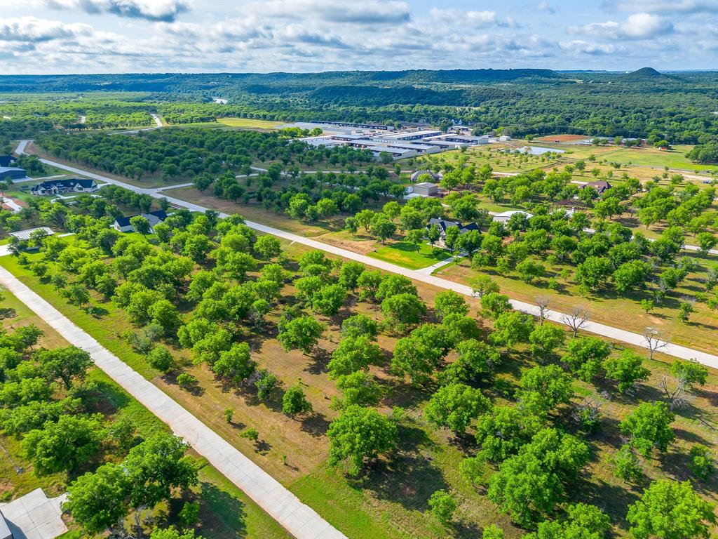 Pecan Plantation - Land