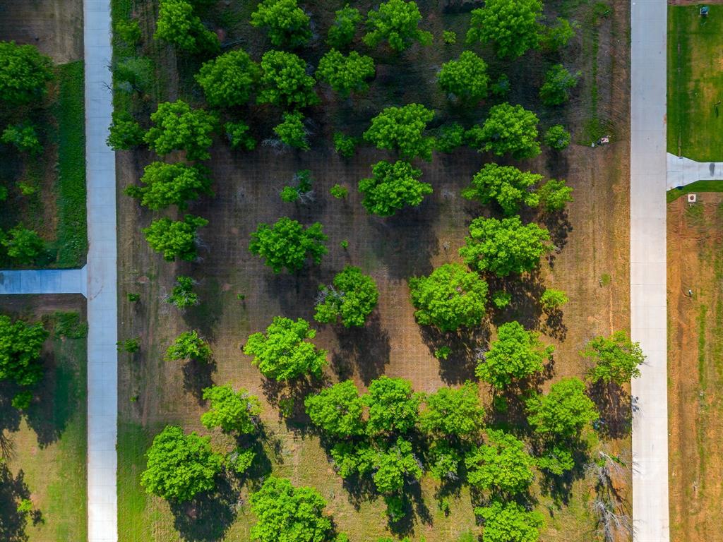 Pecan Plantation - Land