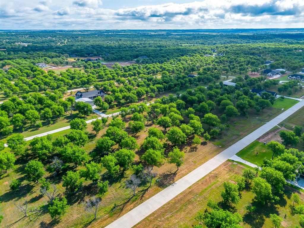 Pecan Plantation - Land