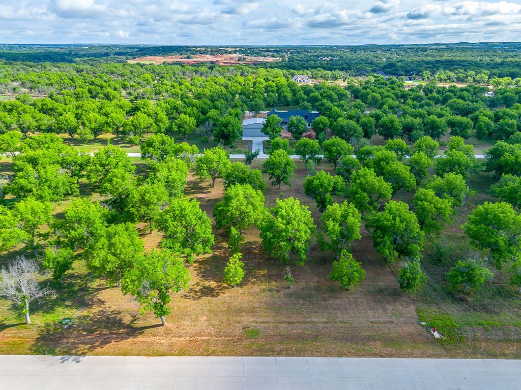 Pecan Plantation - Land