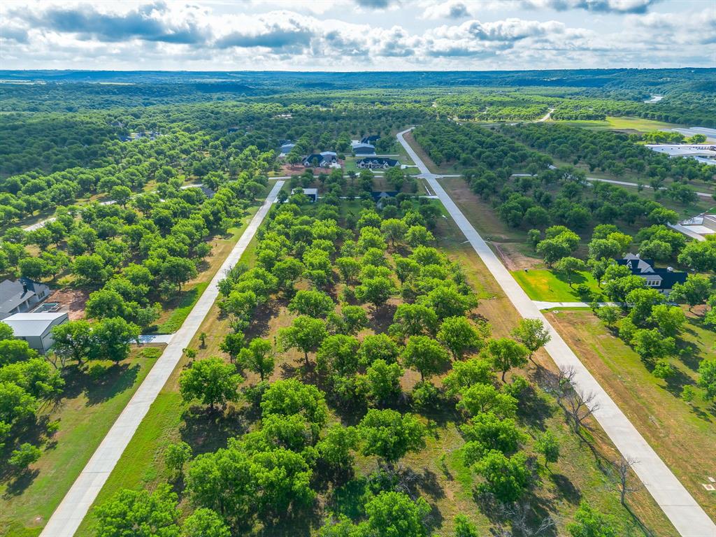 Pecan Plantation - Land