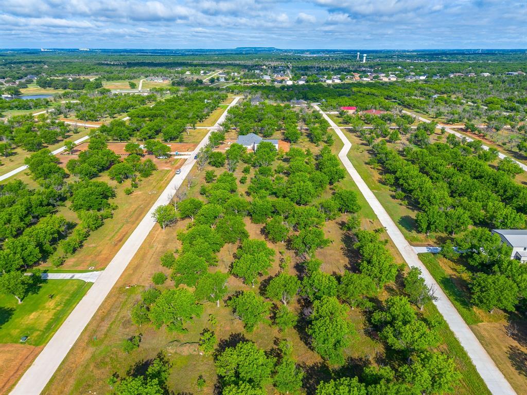 Pecan Plantation - Land