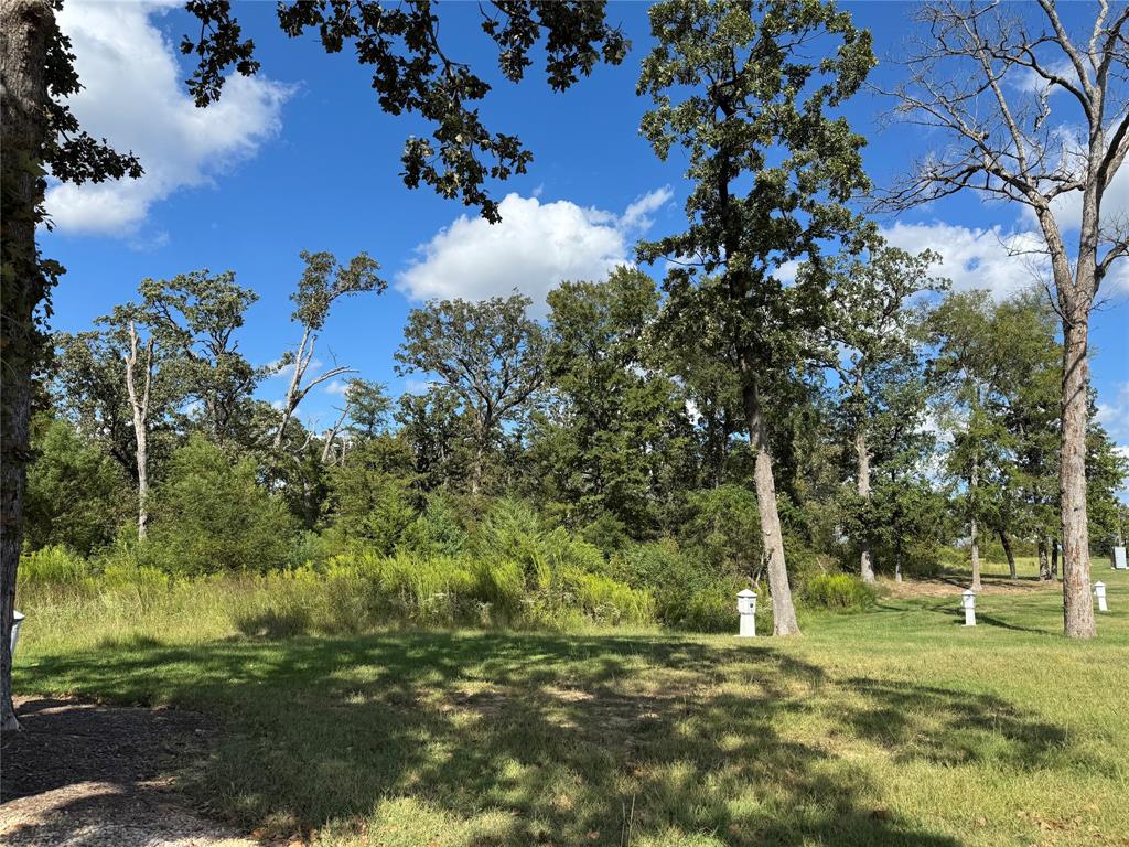 Twin Lakes Resort - Land