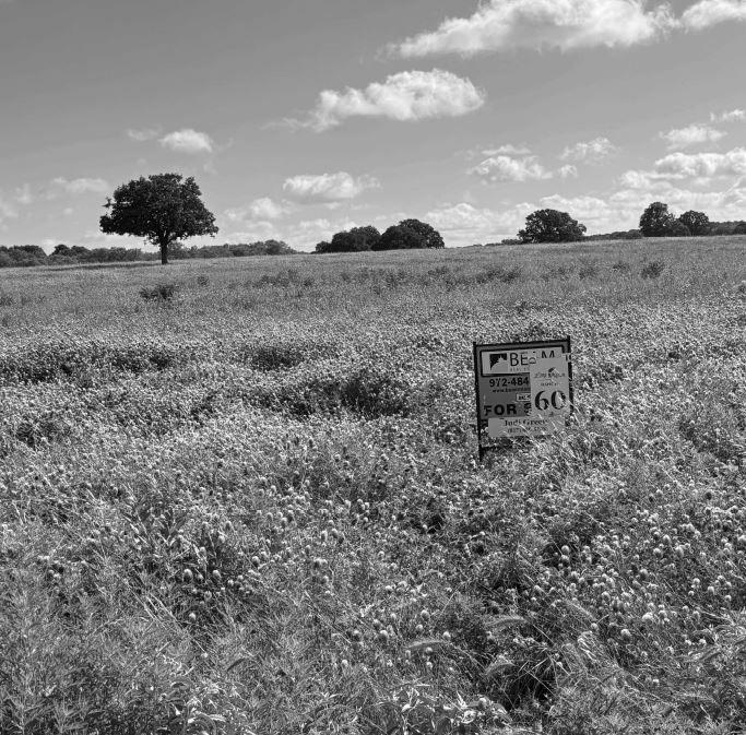 Lone Indian Ranch - Land