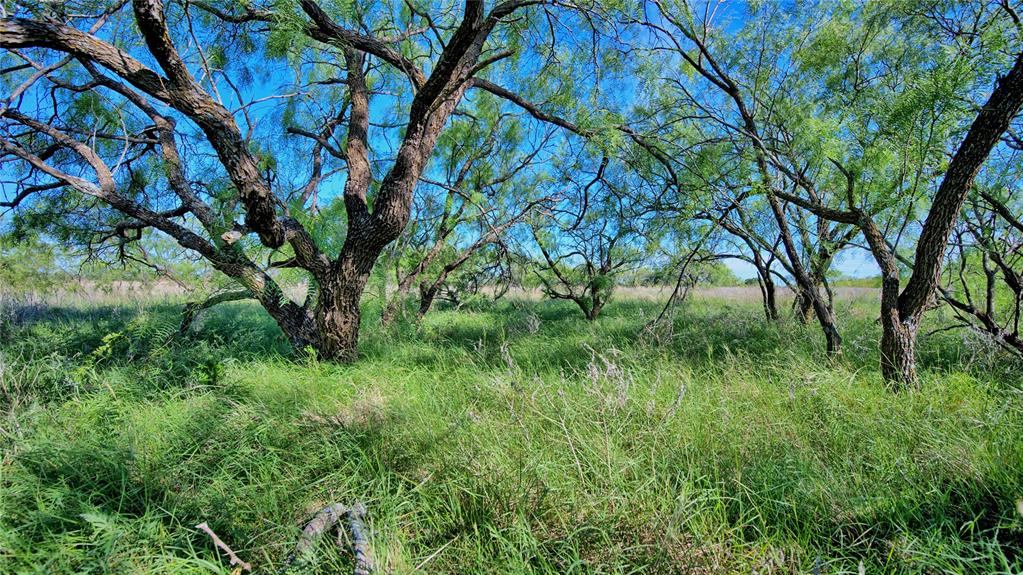 Robertson - Land