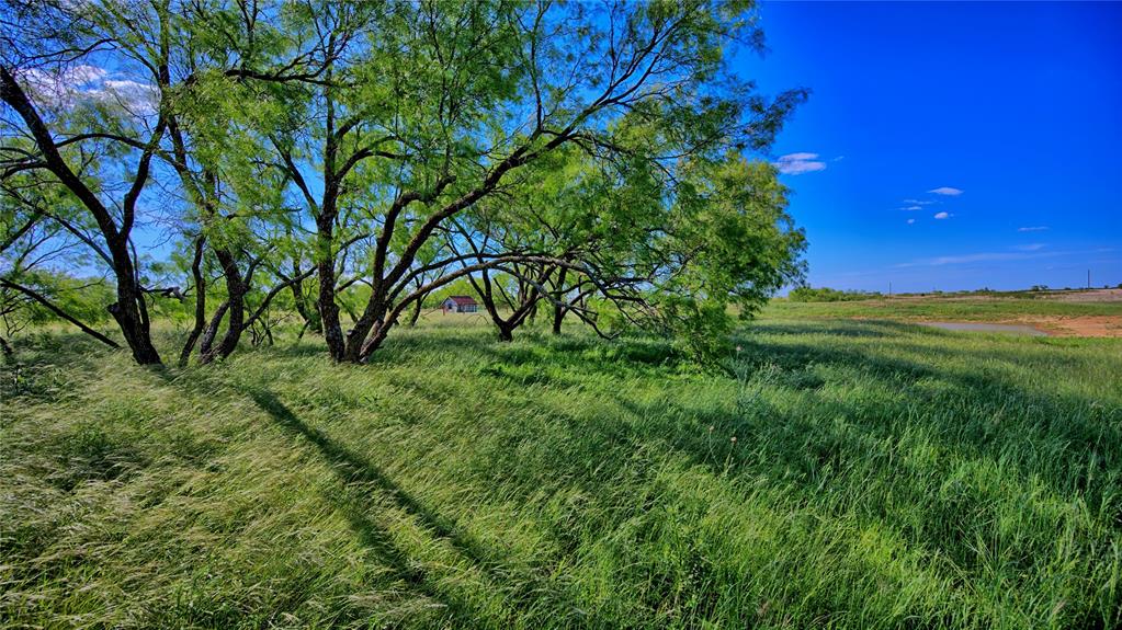 Robertson - Land