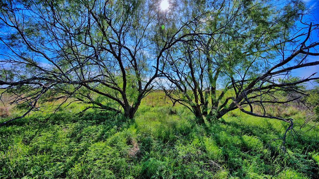 Robertson - Land