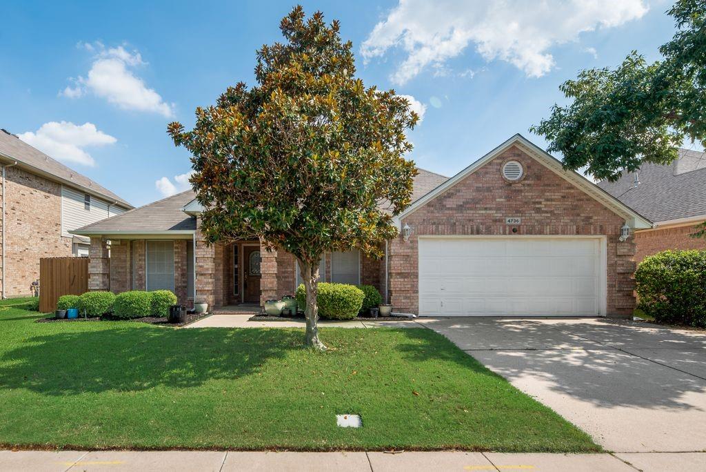 Welcome home to this beautifully updated 4-bedroom home in highly sought-after Keller ISD. Featuring fresh interior paint, an open floor plan, and an updated kitchen with travertine floors and granite countertops. The flexible study with built-in shelves and a closet offers the perfect space for a home office or guest room.
Enjoy the screened-in porch and decked backyard, perfect for relaxing or entertaining. The private primary suite includes a large walk-in closet and a modern master bathroom with a double vanity, walk-in shower, and soaking tub.
Conveniently located within walking or biking distance to Lone Star Elementary and close to shopping, dining, entertainment, and major medical facilities. Don’t miss this move-in-ready home—schedule your showing today!