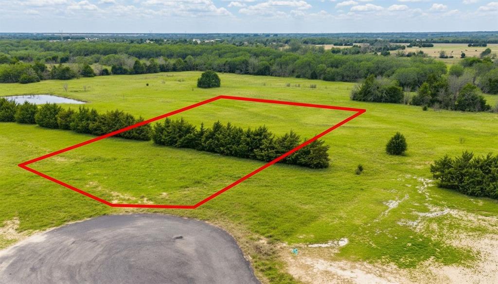Don't miss one of the last available lots in this nearly sold-out Celeste development. Briar Branch Estates has been fully engineered from the ground up: a new interior road, upgraded water line, and new electrical infrastructure are all in place, meaning you're buying a lot that's truly ready to build on. At just over one acre, there's room to design the property you've always envisioned — a custom home, a workshop, a garden, room for animals, or simply the space to spread out that's nearly impossible to find at this price point. No HOA means no committee telling you what you can or can't do with your land. Whether you're a builder looking for your next project or a family ready to put down roots, this lot welcomes both. Located in the heart of sleepy Celeste, this lot sits in the highly regarded Bland ISD — a close-knit district where elementary, middle, and high school are all minutes away and your children won't get lost in the crowd. It's the kind of community where teachers know your kids by name and Friday night lights still mean something. Lots in this development have been going fast, and very few remain. The plat is approved and filed, the infrastructure is done, and the pad is waiting. All that's missing is you.