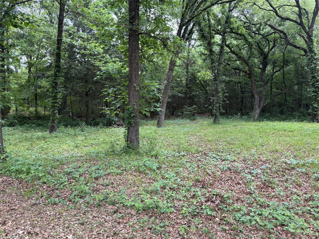 Two treed lots in a build-only community with no mobile homes allowed. Mandatory HOA membership offers access to Lake Tawakoni through the park.