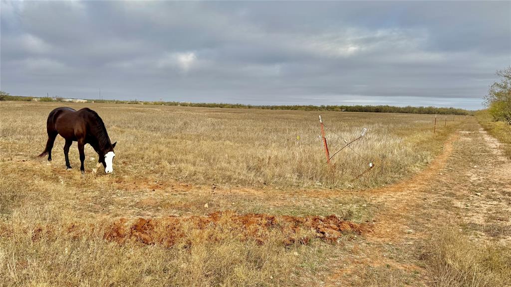 Approximately 20 acres of undeveloped land perfect for enjoying peaceful country living near town, but outside the city limits, with scenic views of Steamboat Mountain. 3 View Caps Water Supply Corporation meters included. Wylie school district. Deed restrictions to protect land values. Land may be subdivided into a maximum of 3 lots after purchase. Site-built homes, no mobile homes, no businesses. Listing agent related to sellers.