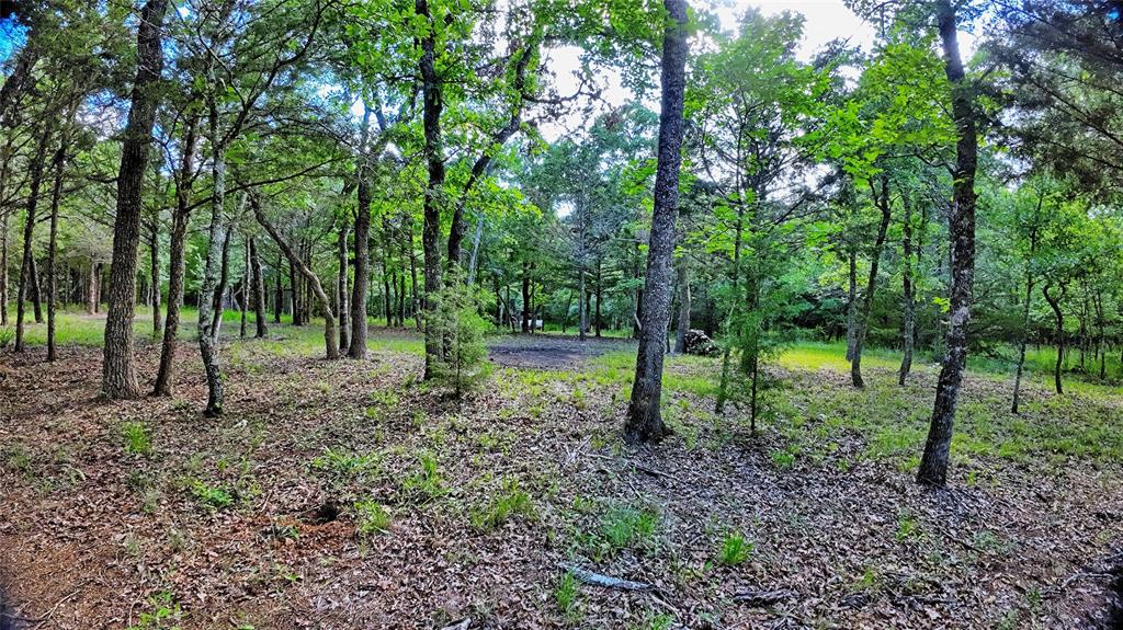 Silver Lakes Ranch - Land