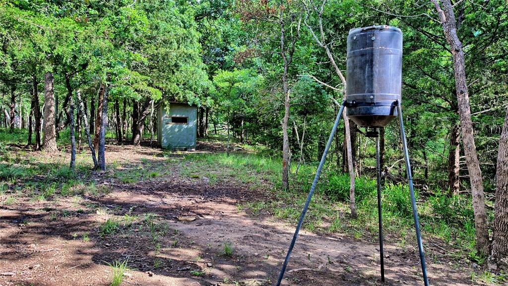 Silver Lakes Ranch - Land