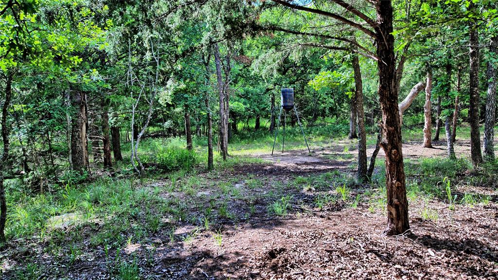 Silver Lakes Ranch - Land