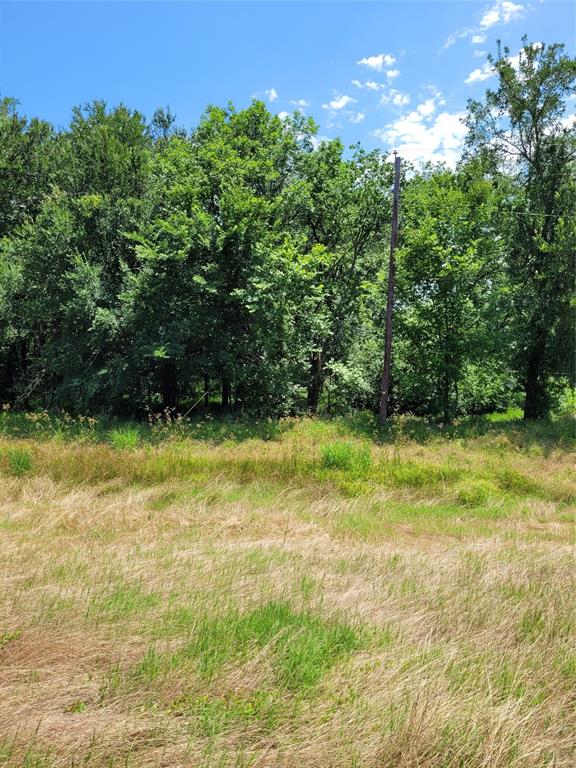 Property is good location for commercial, light industry and potentially retail commercial businesses.  High traffic location being on Loop 286.  Utilities are available.  Raw acreage with trees, ready to be developed for your use or as investment.  It is located in city limits of Paris, in Chisum ISD and Paris Jr. College.  The property is close to U S Highway 24 and 19 to go south or use Loop 286 to access U S 82 to go east or west and U S 271 to go north or southeast.  Take a look!