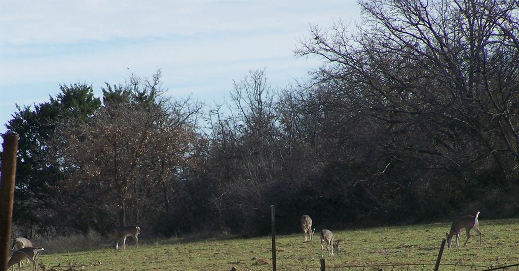 nond - Farm