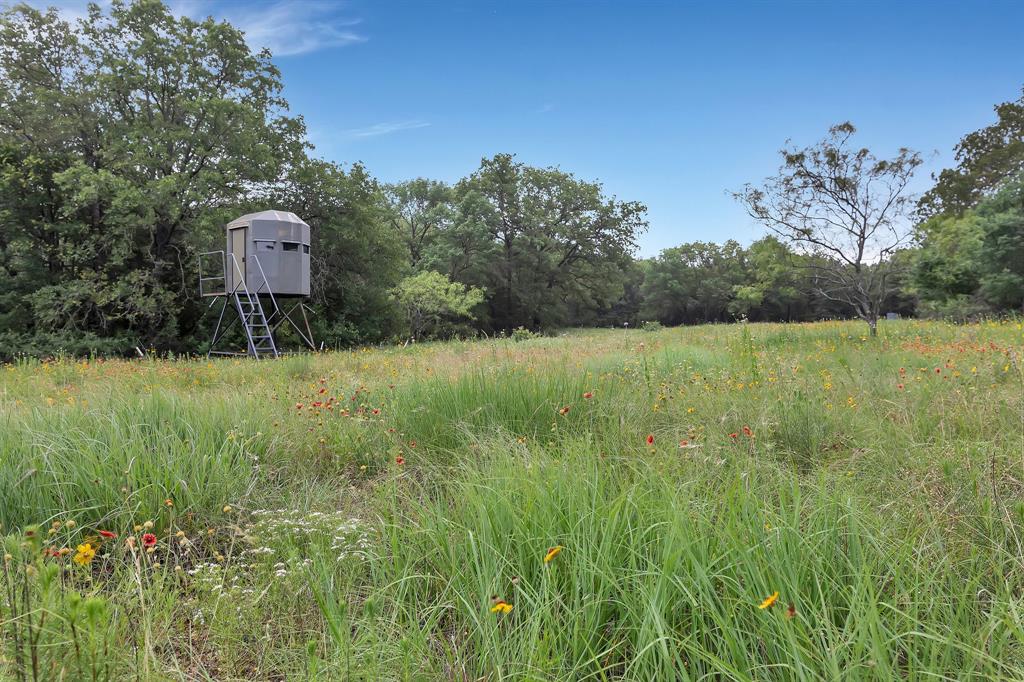 AB Spiller - Farm