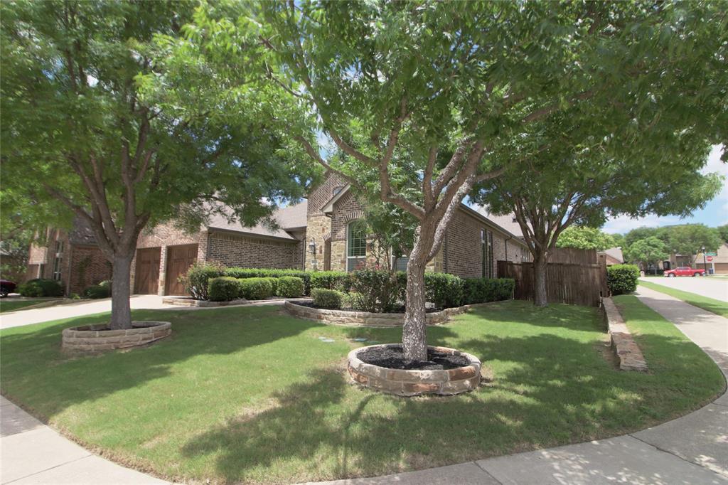 Saddlehorn Creek - Residential