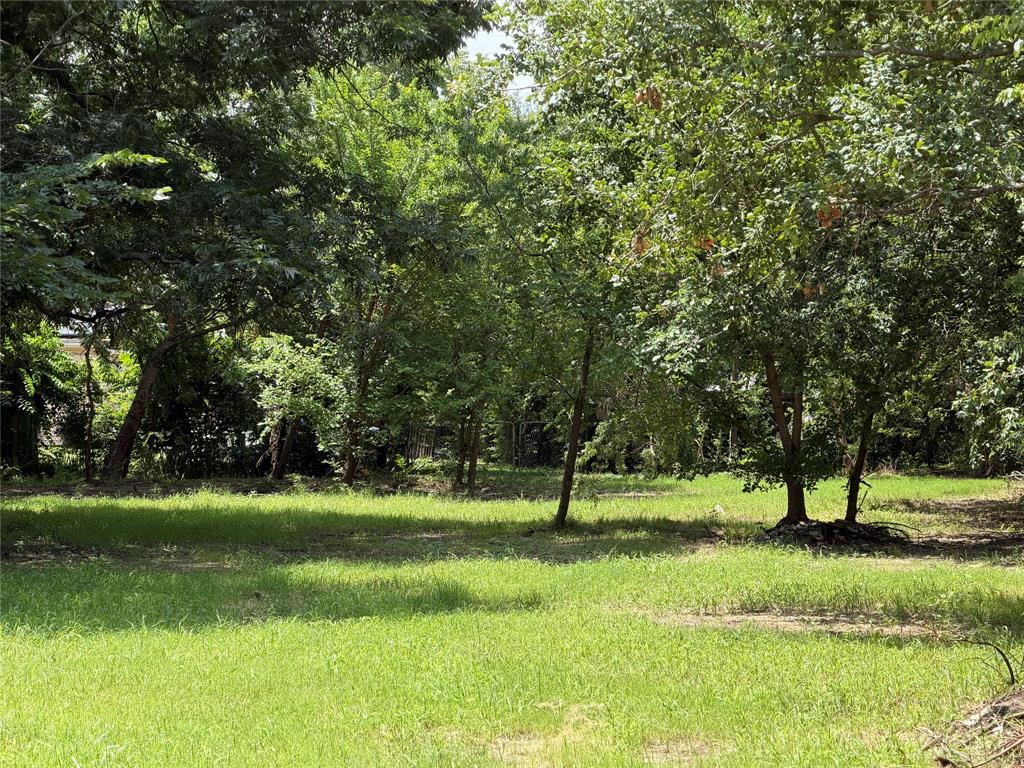 Westwood Park 02 - Land