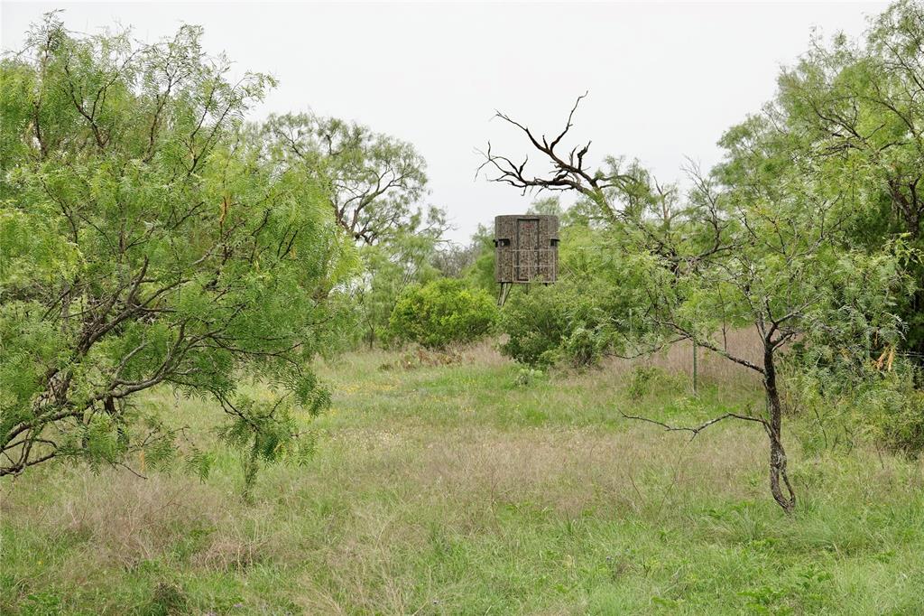 0000 - Land