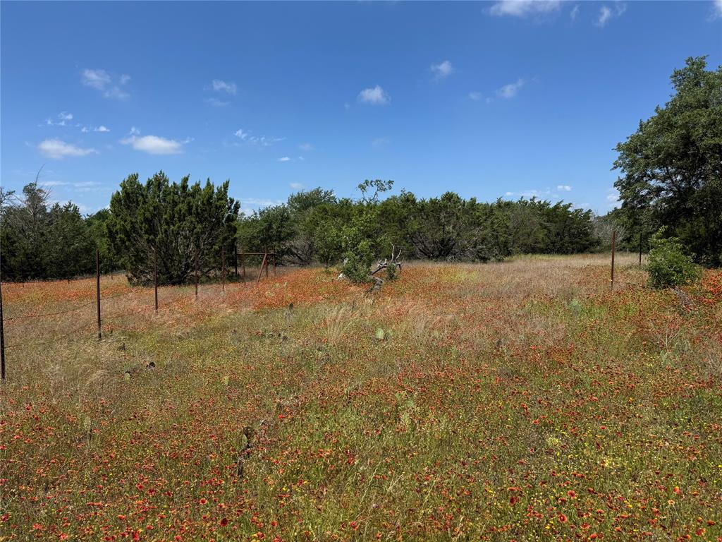 - - Land